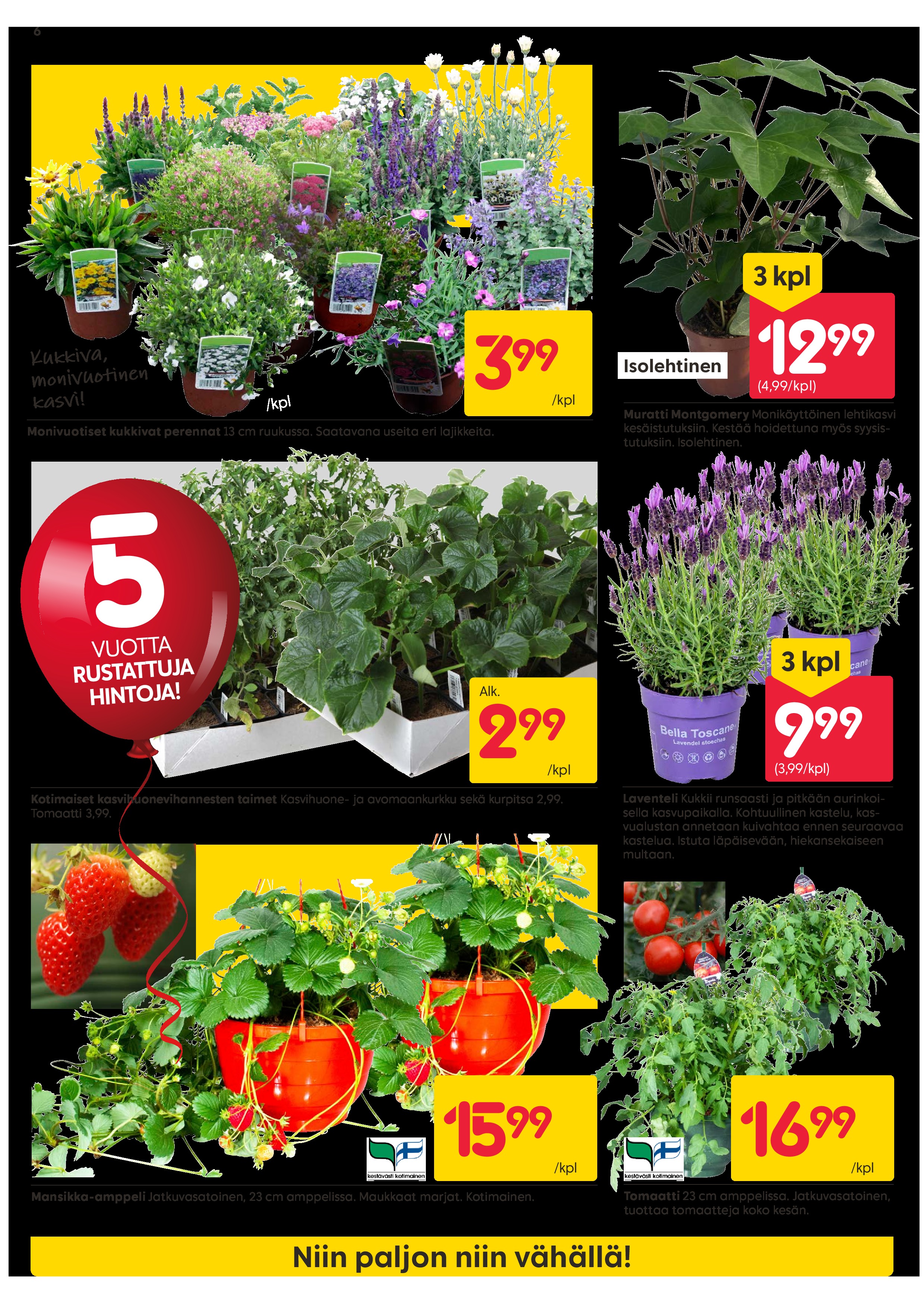 Rusta Rustattuja Hintoja sivu 6